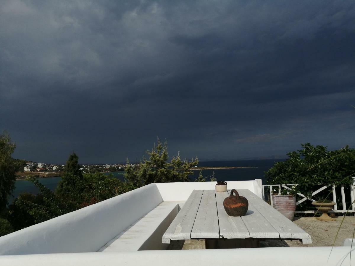 Artemis Villa Near Athens Airport Markópoulon エクステリア 写真