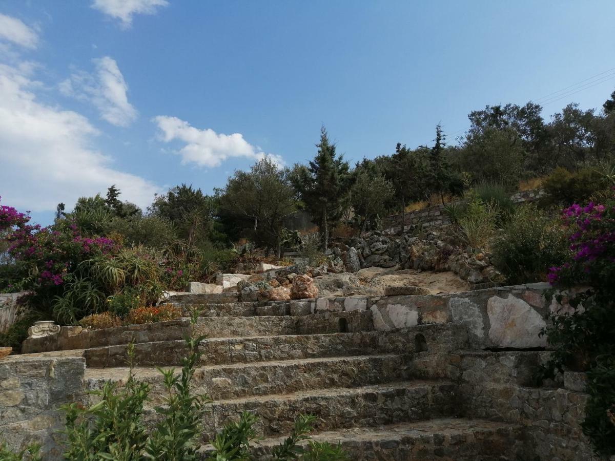 Artemis Villa Near Athens Airport Markópoulon エクステリア 写真