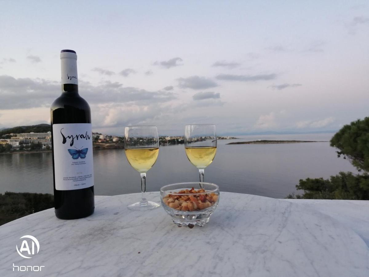 Artemis Villa Near Athens Airport Markópoulon エクステリア 写真